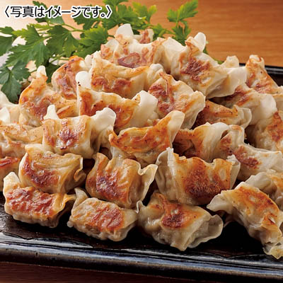 【送料込み】国産豚肉のひとくち肉餃子