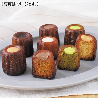 【送料込み】＜ドミニクドゥーセの店＞ プチカヌレギフト