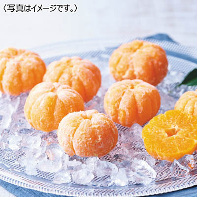 【送料込み】＜小林果園＞ 甘みぎゅっと凍らせ蜜柑