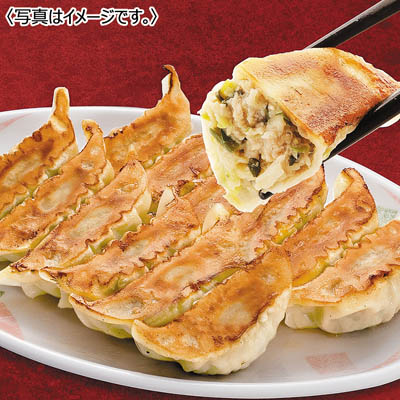 【送料込み】＜宇都宮餃子館＞ お店で人気の餃子　6種セット