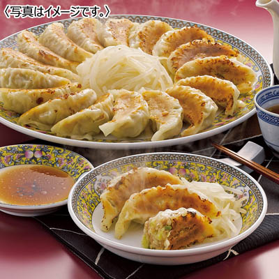 【送料込み】静岡 浜松餃子