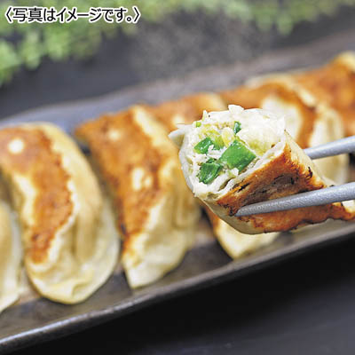 【送料込み】北海道餃子 天のびろく（プレミアム）