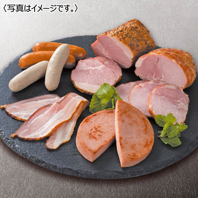 ＜ダルマイヤー＞ダルマイヤーＥ