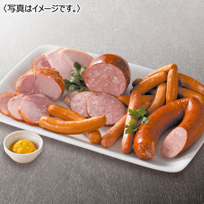 <ダルマイヤー>ダルマイヤーI