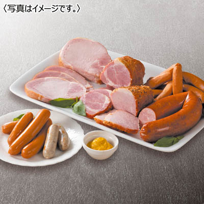 <ダルマイヤー>ダルマイヤーJ