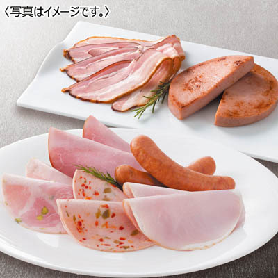 ＜ダルマイヤー＞ダルマイヤーＦ