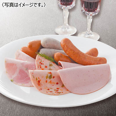 ＜ダルマイヤー＞ダルマイヤーＧ