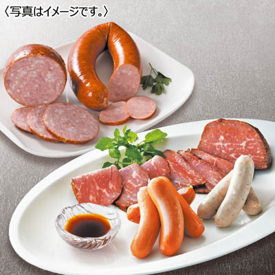 <ダルマイヤー>ダルマイヤーC