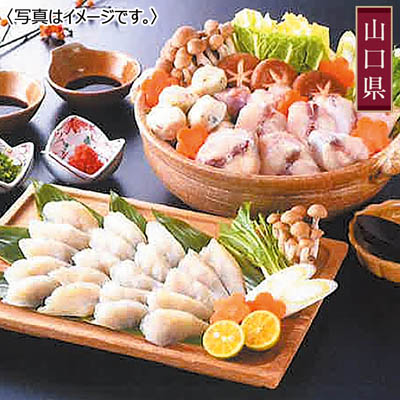 【送料込み】「下関　音」ふくちり鍋・しゃぶ鍋セット