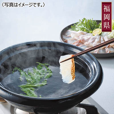 <福津いいざい>玄界灘産天然真鯛しゃぶしゃぶ(3人前)