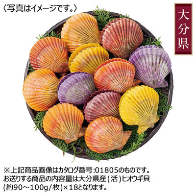 <海べ>活ヒオウギ貝セット