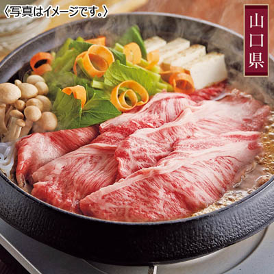 ＜厳選肉専門店ふじ匠＞やまぐち和牛　燦（きらめき）　すき焼き食べ比べセット