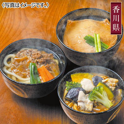 【送料込み】＜うどん本陣山田家＞ レンジで簡単　３種の個食讃岐うどんセット