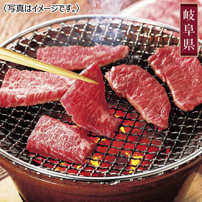 岐阜　飛騨牛　焼肉