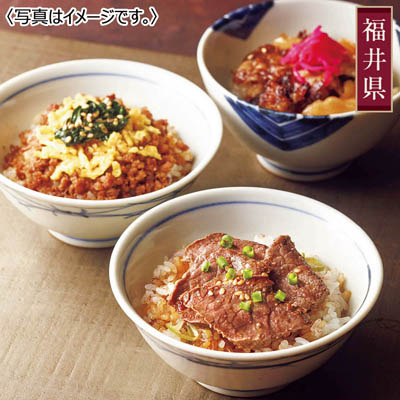 <ごっつお便>若狭牛ミニ丼セット