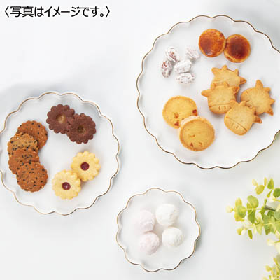 ＜ヨーグルト　フォーシーズンズ＞ヨーグルトクッキー缶