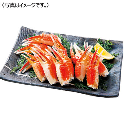 ボイルずわいがに爪肉 1kg