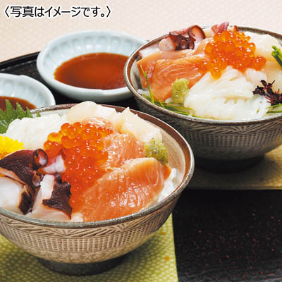 <北海道海産>北海道産 海鮮丼セット