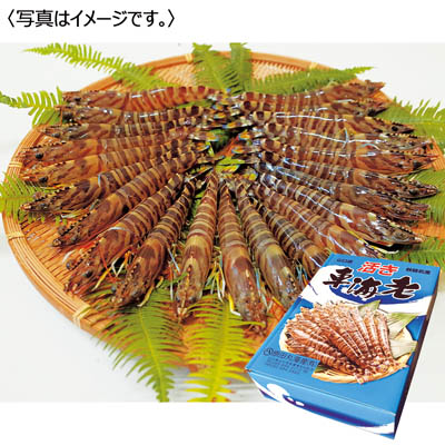 ＜原田丸海産＞活き車海老