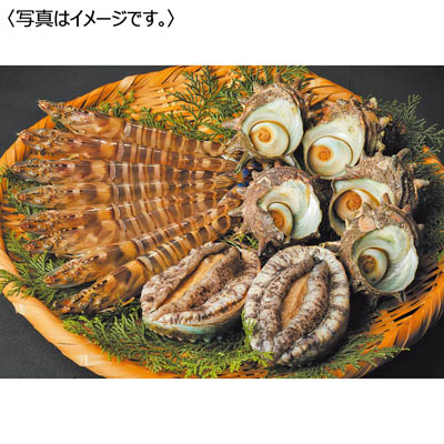 <天草フーズ>九州産 活車えび・活あわび・活さざえセット