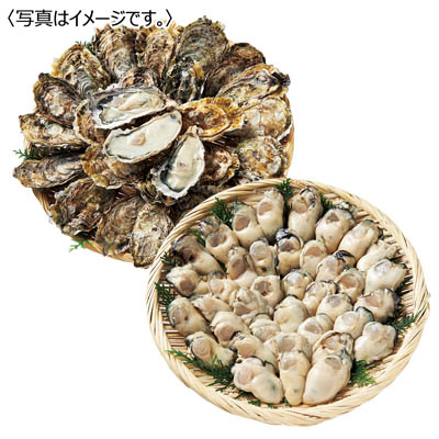 ＜マルヒロ水産＞生かき殻付セット（大）　加熱用