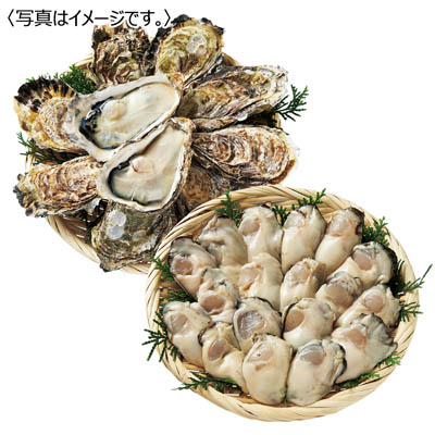 <マルヒロ水産>生かき殻付セット(小) 加熱用