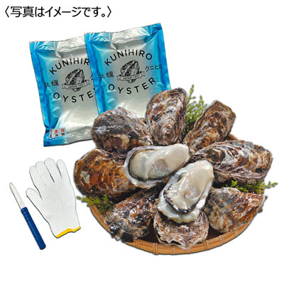 <クニヒロ>広島県産 殻付かき・むき身セット 生食用