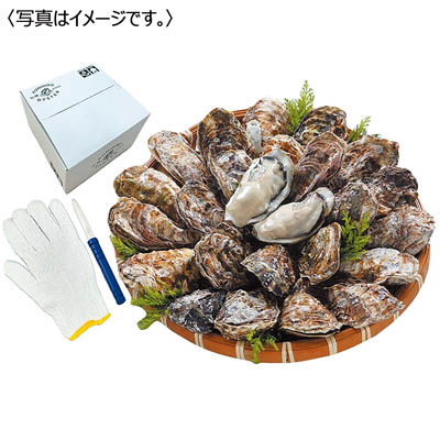 <クニヒロ>広島県産 殻付かき 生食用