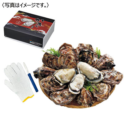 <クニヒロ>広島県産 殻付かき 生食用