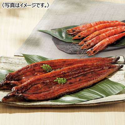 【送料込み】＜双葉水産＞ 鹿児島県大隅産うなぎ蒲焼・国産車海老詰合せ