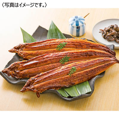淡麗良蒲うなぎ蒲焼3尾セット(焼肝入)