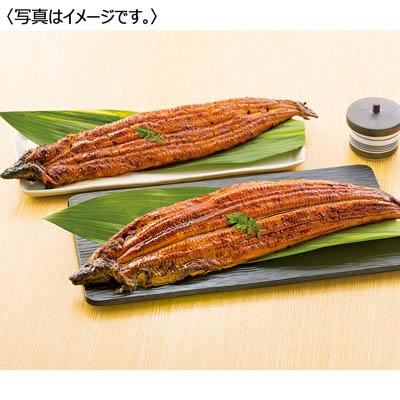 天の蒲・淡麗良蒲食べ比べセット