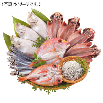 <国近商店>海匠國近 山口魚急便