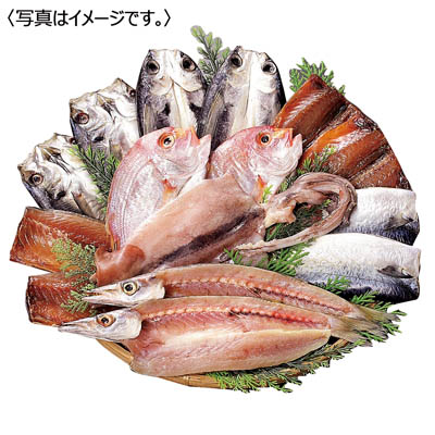 <山道水産>長崎五島灘一夜干し