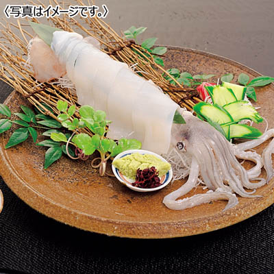 <呼子CASセンター>佐賀県産CAS凍結いか食べくらべセット