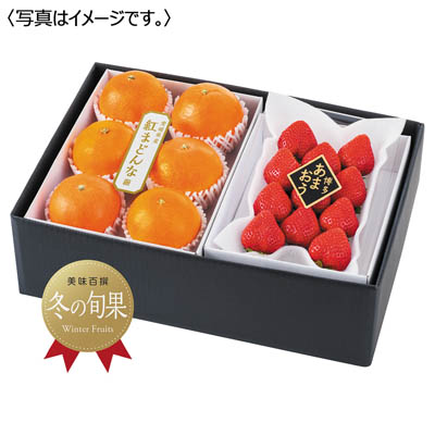 紅まどんな&博多あまおう