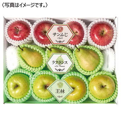 冬の果実3種詰合せ