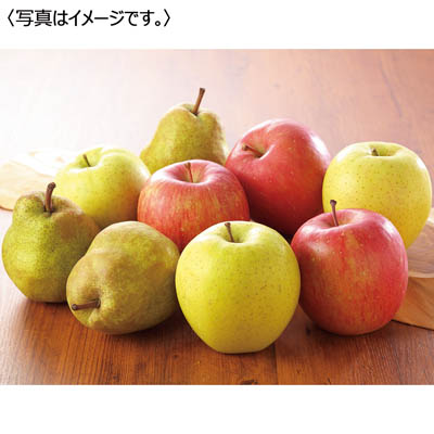 旬の果物詰合せ