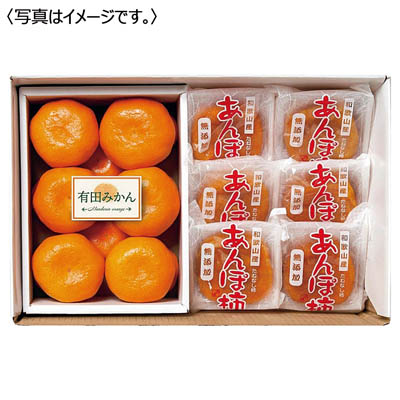 和歌山県産 あんぽ柿&有田みかん