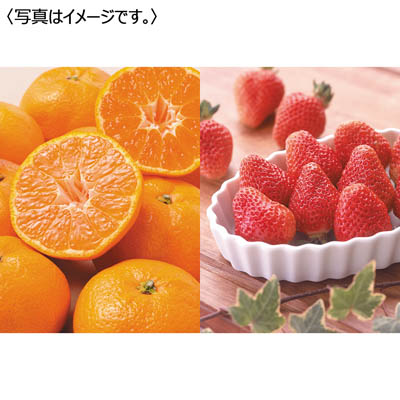 いちごとみかん