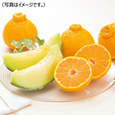 熊本県産　デコポン＆アールスメロン