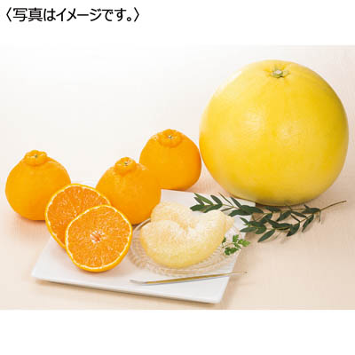 熊本県産　デコポン＆晩白柚