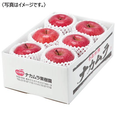 青森県産　蜜入りサンふじりんご