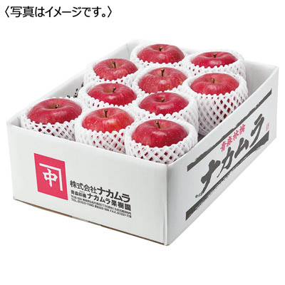 青森県産 蜜入りサンふじりんご