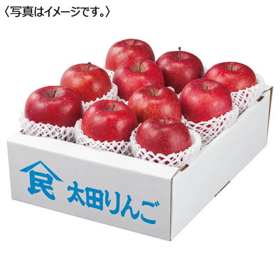 青森県産 蜜入りサンふじりんご