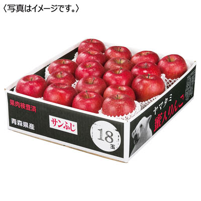 青森県産 蜜入りサンふじりんご