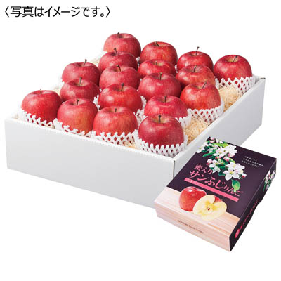 青森県産　蜜入りサンふじりんご