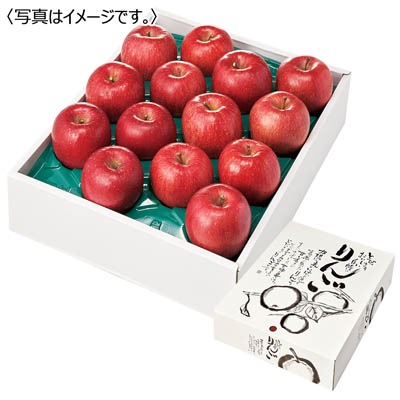 青森県産　工藤さん達の蜜入りサンふじ