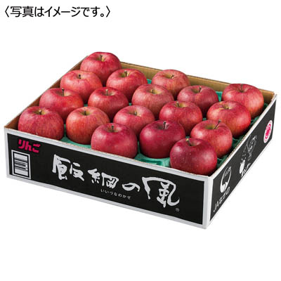 長野県産 飯綱サンふじ