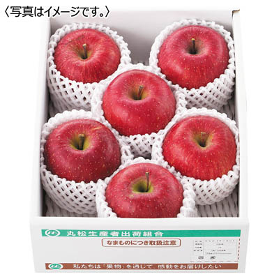 山形県産　いずみ会のサンふじ